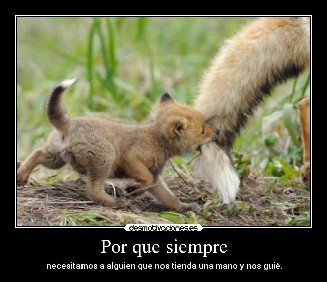 carteles ese alguien desmotivaciones