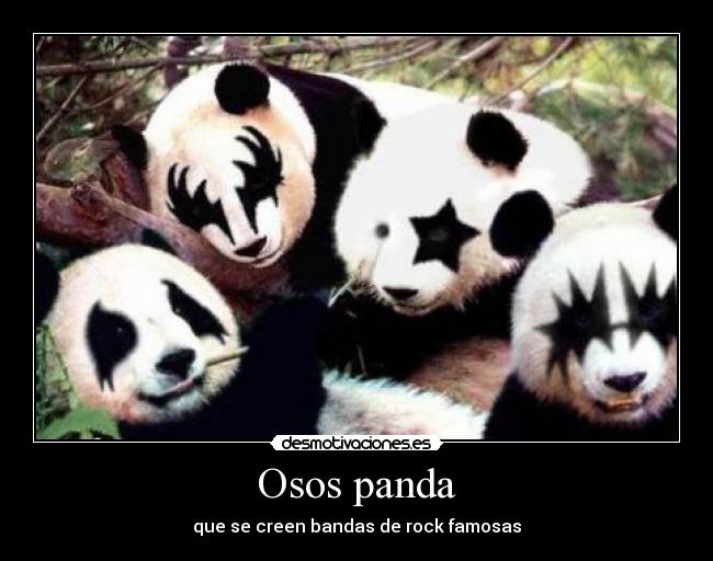 Osos panda - que se creen bandas de rock famosas