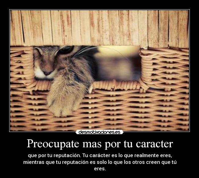 carteles caracter caracter desmotivaciones