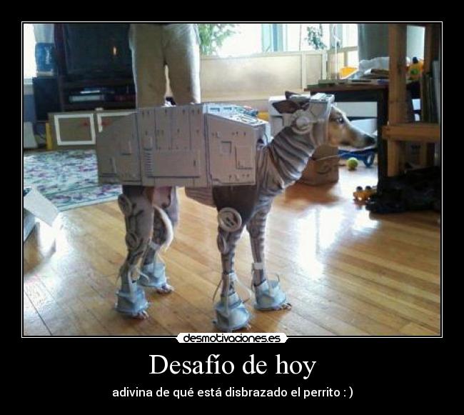 Desafío de hoy - adivina de qué está disbrazado el perrito : )