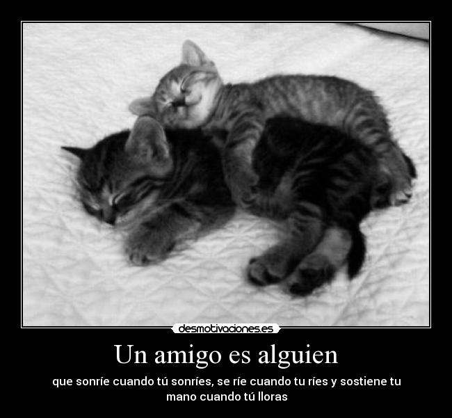 Un amigo es alguien - 