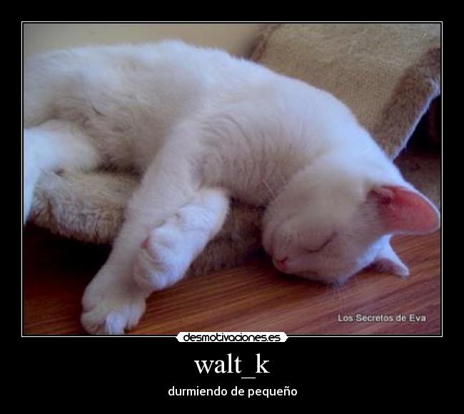 walt_k - durmiendo de pequeño