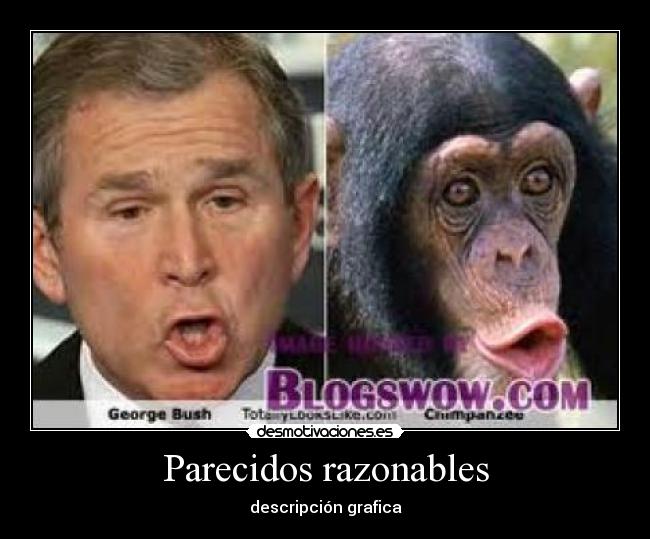 Parecidos razonables -