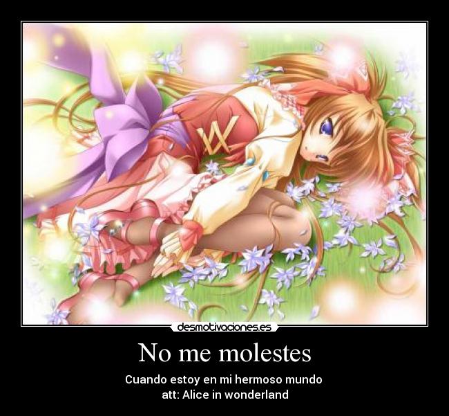 No me molestes -