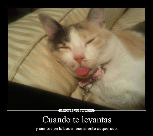 Cuando te levantas - y sientes en la boca , ese aliento asqueroso.