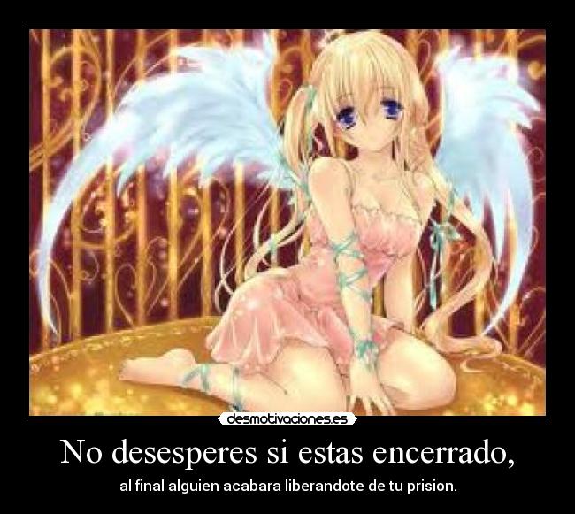 No desesperes si estas encerrado, - al final alguien acabara liberandote de tu prision.