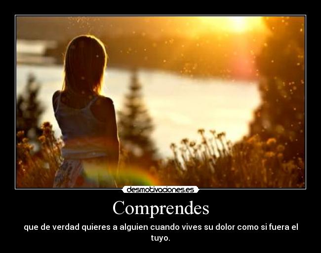 Comprendes -