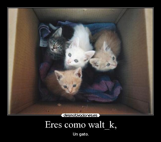 Eres como walt_k, - 