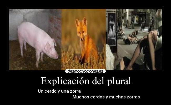 carteles vanete desmotivaciones