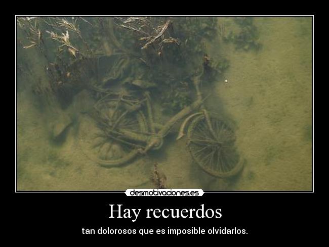 Hay recuerdos - tan dolorosos que es imposible olvidarlos.
