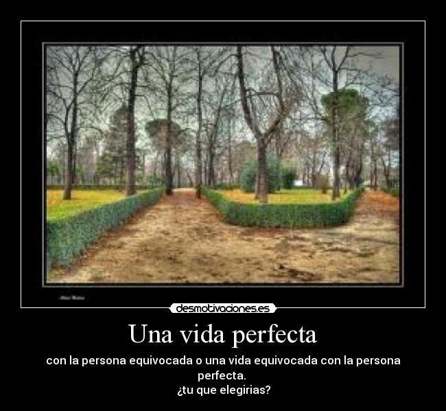 Una vida perfecta - con la persona equivocada o una vida equivocada con la persona perfecta.
¿tu que elegirias?