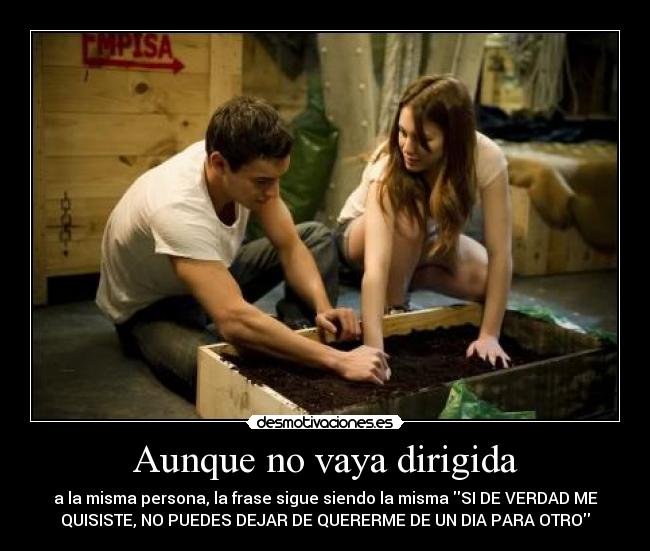 carteles amo desmotivaciones