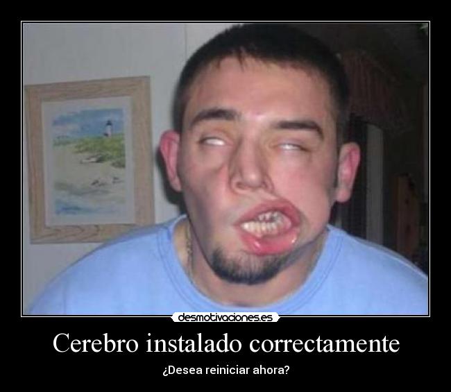 Cerebro instalado correctamente - ¿Desea reiniciar ahora?
