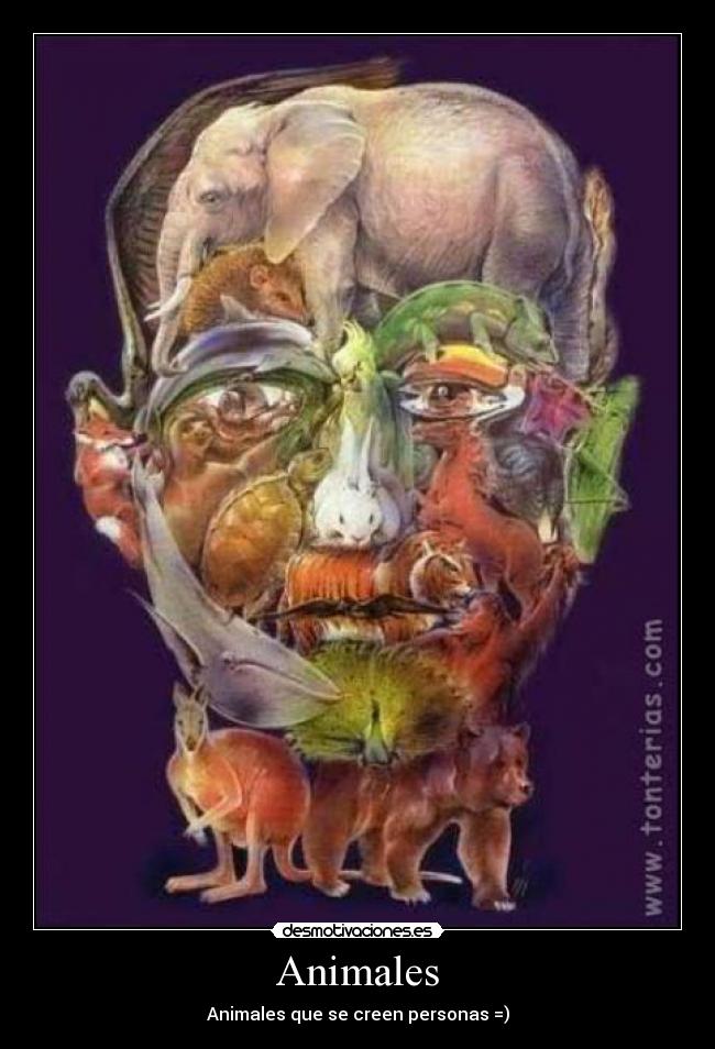 Animales - 