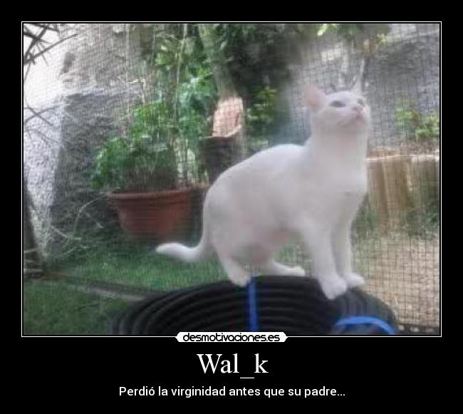 Wal_k - Perdió la virginidad antes que su padre...