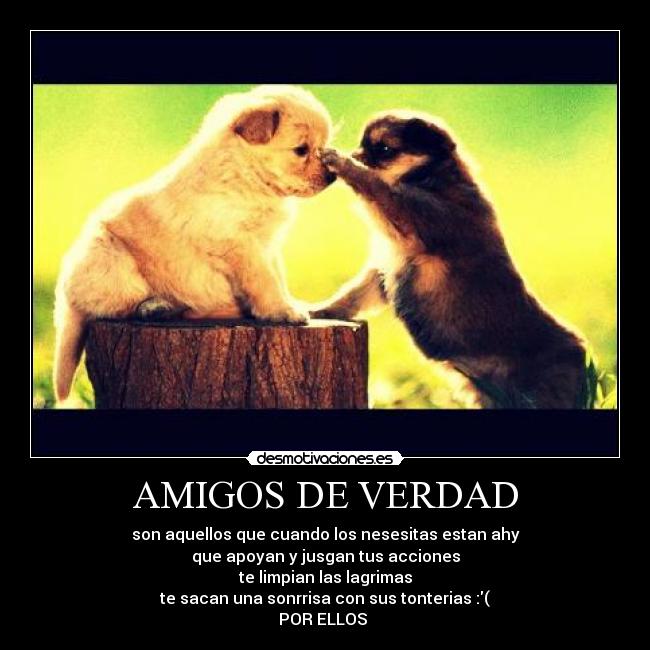 AMIGOS DE VERDAD - son aquellos que cuando los nesesitas estan ahy
que apoyan y jusgan tus acciones
te limpian las lagrimas
te sacan una sonrrisa con sus tonterias :(
POR ELLOS ♥