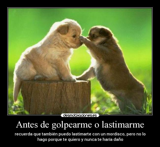 Antes de golpearme o lastimarme - recuerda que también puedo lastimarte con un mordisco, pero no lo
hago porque te quiero y nunca te haría daño