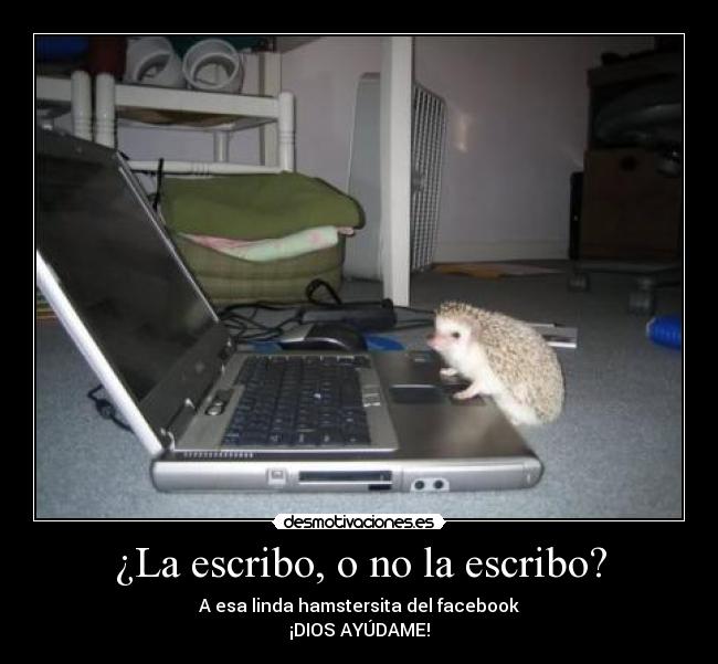¿La escribo, o no la escribo? -