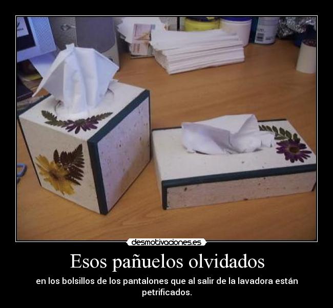Esos pañuelos olvidados -