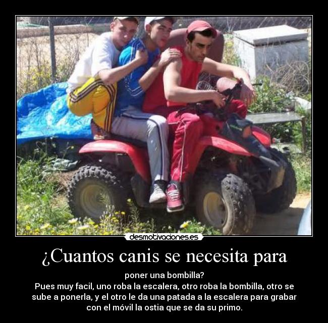 carteles canis bombilla desmotivaciones