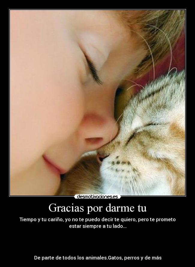 carteles gatos perros animales amor duenos gracias carino tequiero lado desmotivaciones