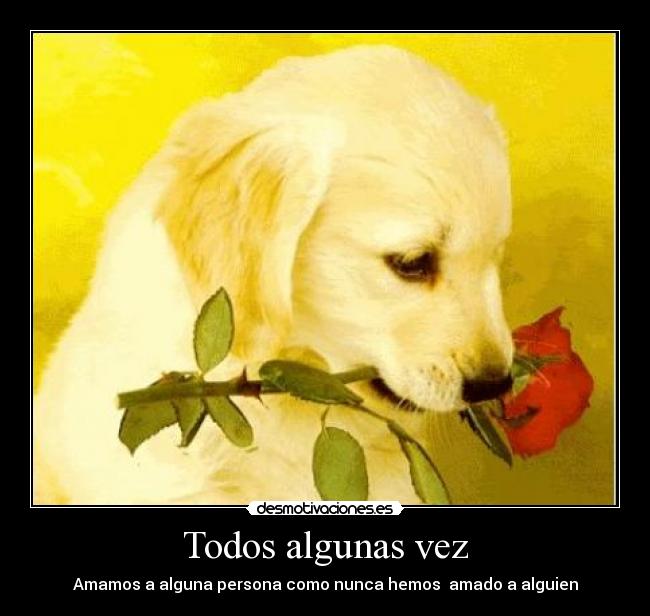 Todos algunas vez - Amamos a alguna persona como nunca hemos amado a alguien