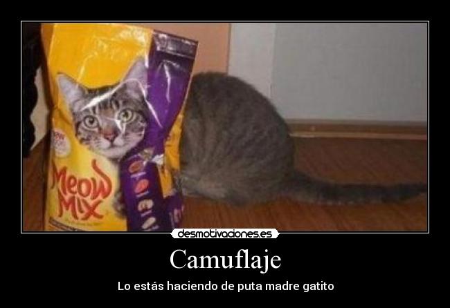 Camuflaje - Lo estás haciendo de puta madre gatito
