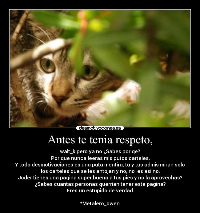 Antes te tenia respeto, - walt_k pero ya no ¿Sabes por qe?
Por que nunca leeras mis putos carteles,
Y todo desmotivaciones es una puta mentira, tu y tus admis miran solo
los carteles que se les antojan y no, no  es asi no.
Joder tienes una pagina super buena a tus pies y no la aprovechas?
¿Sabes cuantas personas querrian tener esta pagina?
Eres un estupido de verdad.

*Metalero_owen
