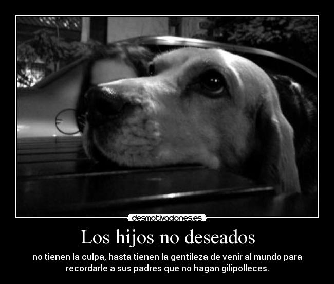 carteles viste cuando tenes que aprobar si si tercera sale bueno asi desmotivaciones