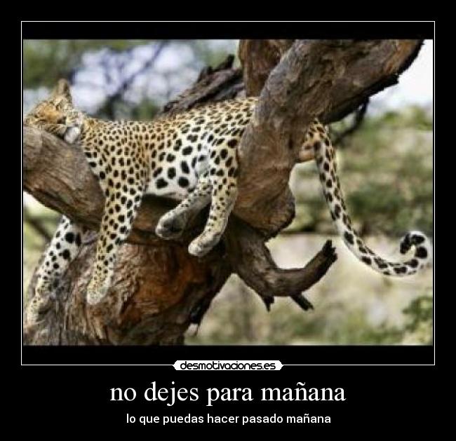 carteles cokempanao desmotivaciones