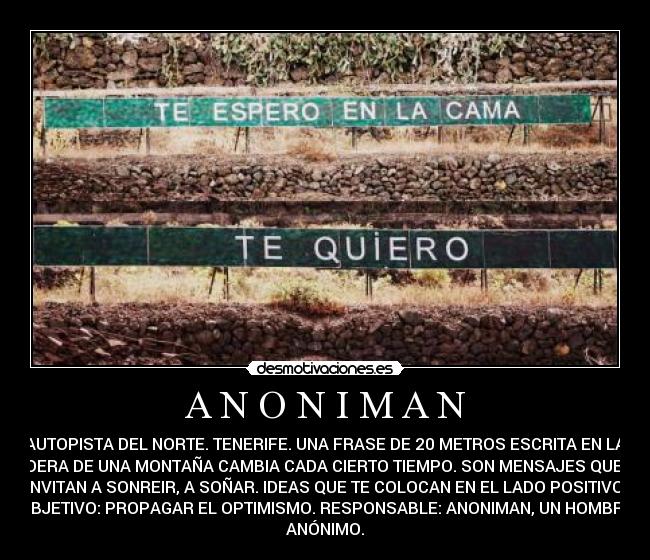 carteles anoniman desmotivaciones