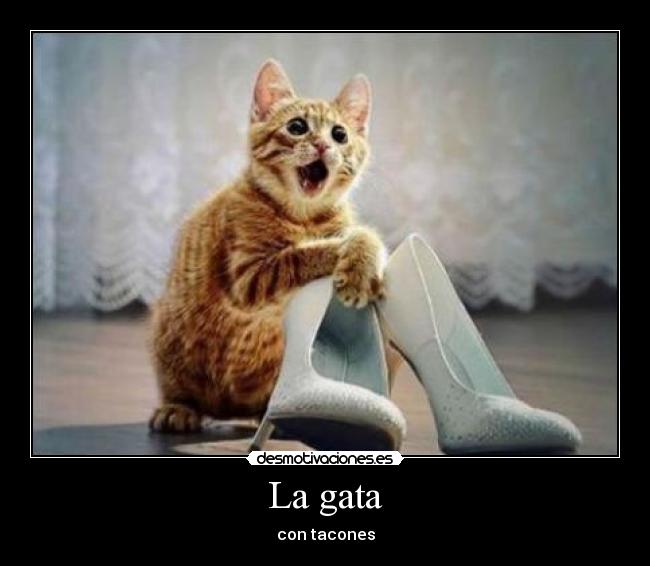 La gata - con tacones