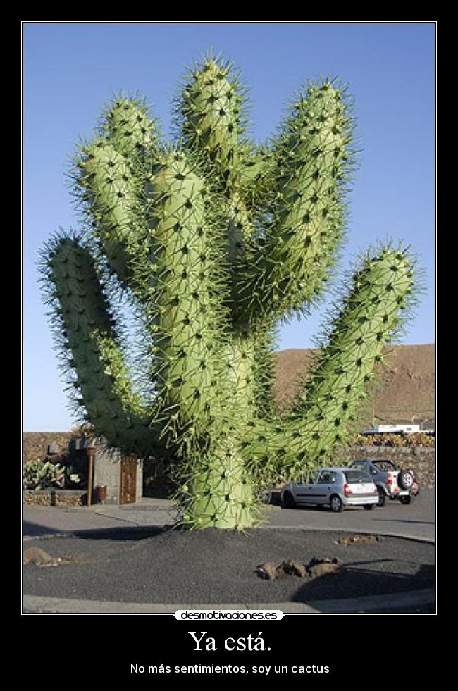Ya está. - No más sentimientos, soy un cactus