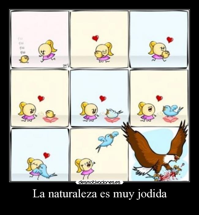 La naturaleza es muy jodida -