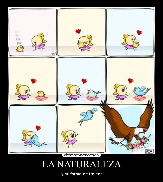 carteles naturaleza naturaleza trolear animalito pajarito cuidar criar dejar libre matar asesinato comer tristeza feliz desmotivaciones