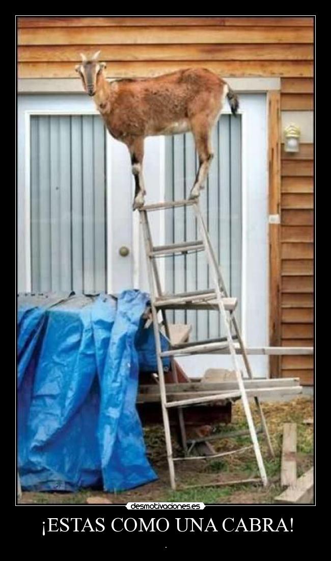 carteles cabra desmotivaciones