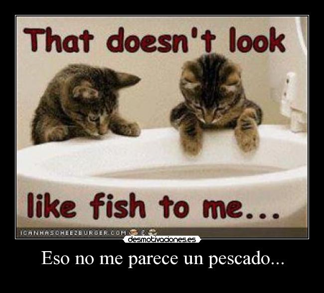 Eso no me parece un pescado... -