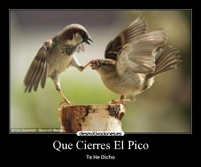 Que Cierres El Pico -