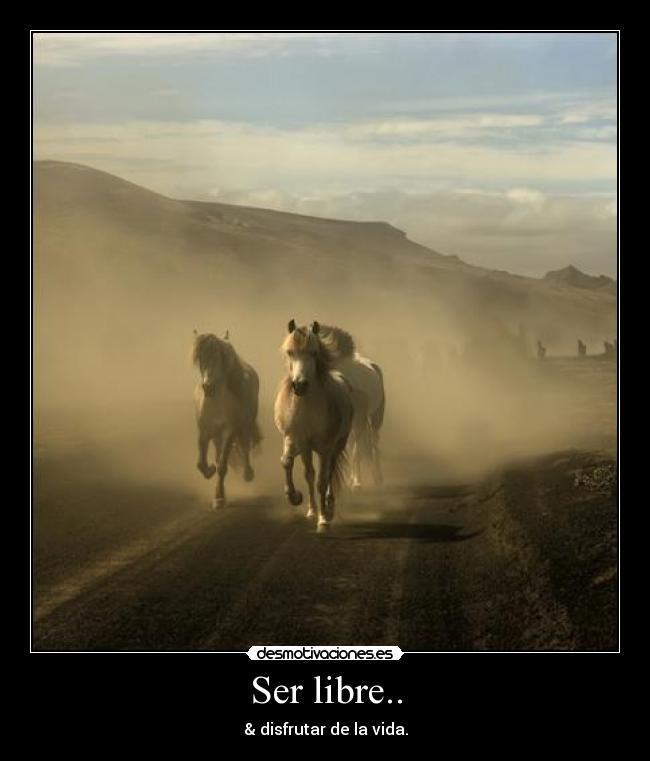 Ser libre.. - & disfrutar de la vida.