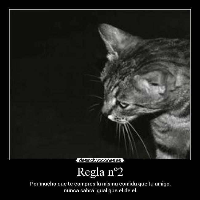 Regla nº2 - Por mucho que te compres la misma comida que tu amigo,
nunca sabrá igual que el de el.