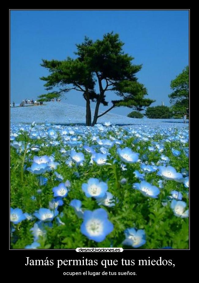 Jamás permitas que tus miedos, -