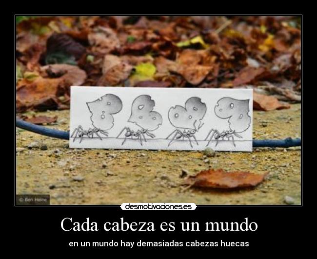Cada cabeza es un mundo -