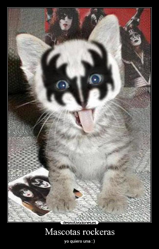 Mascotas rockeras - yo quiero una : )
