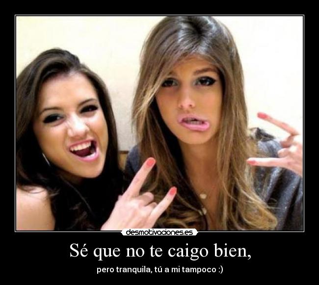 Sé que no te caigo bien, -