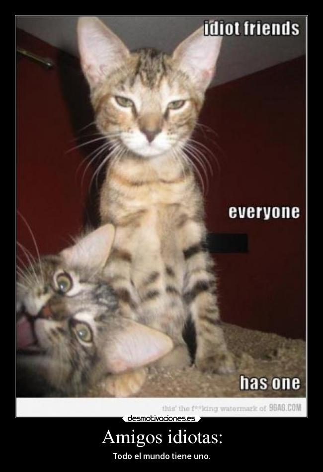 Amigos idiotas: - Todo el mundo tiene uno.