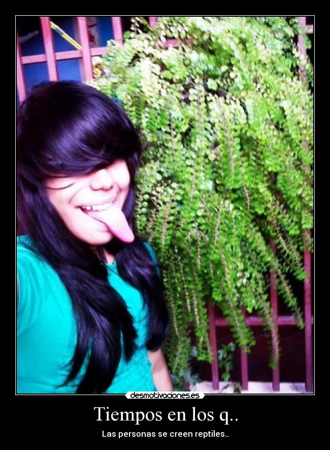 carteles xdddddddddddddddddddddddddddddddddddd algun dia princi desmotivaciones