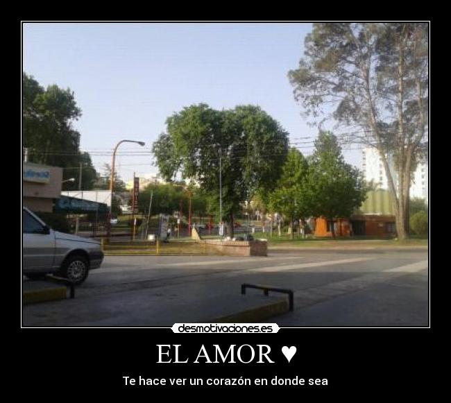 carteles amor mas tierno desmotivaciones