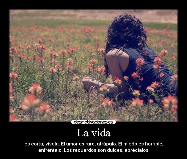 La vida - es corta, vívela. El amor es raro, atrápalo. El miedo es horrible,
enfréntalo. Los recuerdos son dulces, aprécialos.