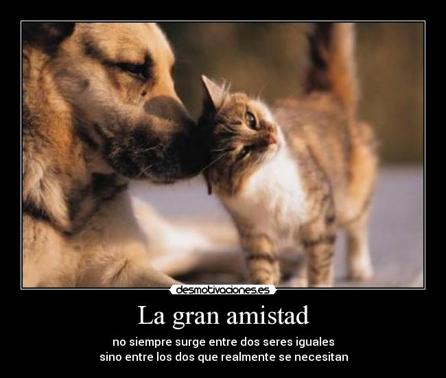 La gran amistad -