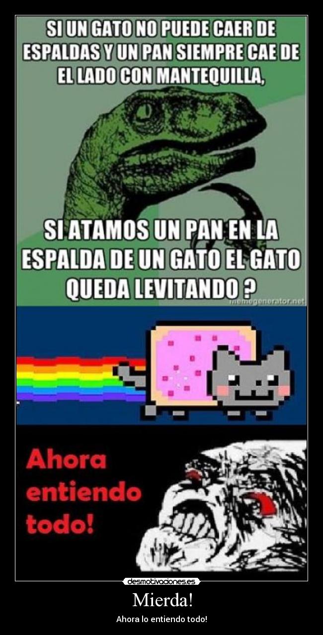 carteles nyan cat arcoiris ahora desmotivaciones